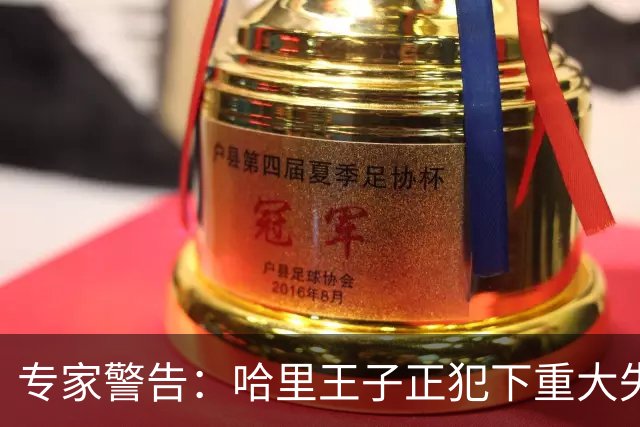 专家警告：哈里王子正犯下重大失误，或将彻底断送王室和解机会