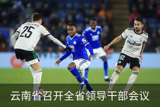 云南省召开全省领导干部会议