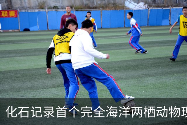 化石记录首个完全海洋两栖动物现身