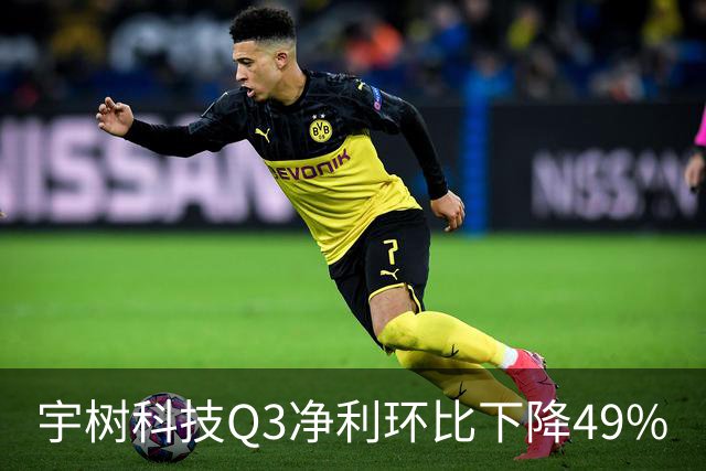 宇树科技Q3净利环比下降49%