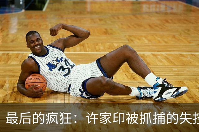 最后的疯狂：许家印被抓捕的失控三秒钟，简直是惊心动魄