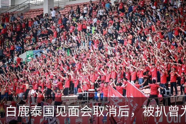 白鹿泰国见面会取消后，被扒曾为缅北拍宣传片，知情人爆更多内幕