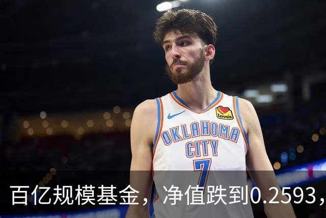 百亿规模基金，净值跌到0.2593，暴跌74%，亏得基民都不敢看账户