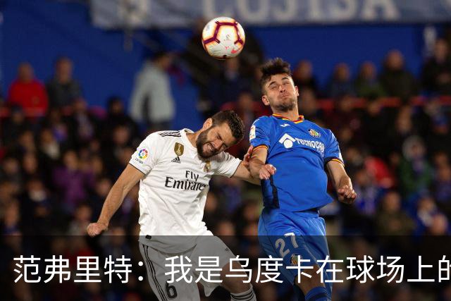 范弗里特：我是乌度卡在球场上的一个翻译 我当老好人他当坏人