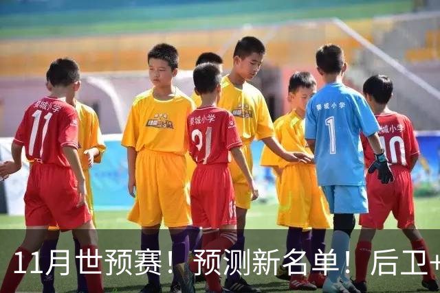 11月世预赛！预测新名单！后卫+锋线+中锋！有机会吗？